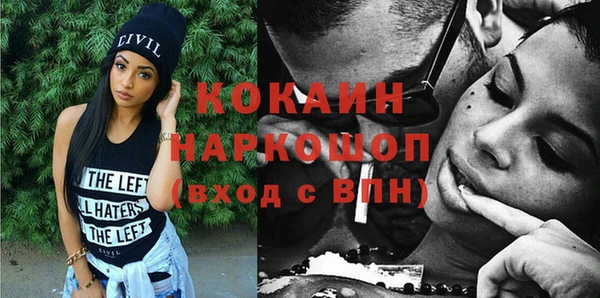 шишки Бронницы