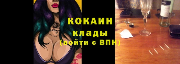 Альфа ПВП Бородино