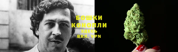 Альфа ПВП Бородино