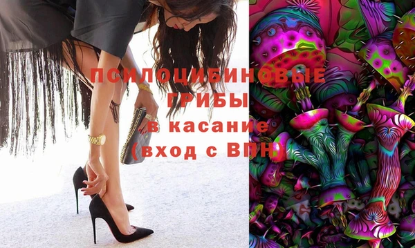 Альфа ПВП Бородино