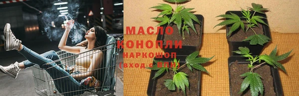 Альфа ПВП Бородино
