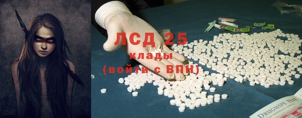 шишки Бронницы