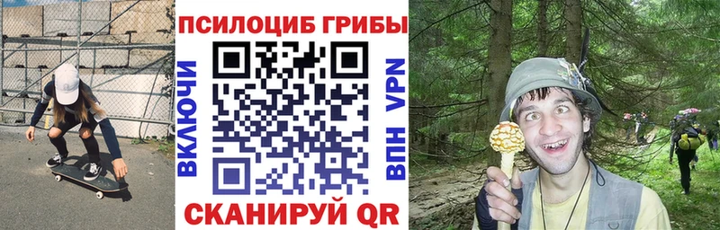 Купить  Котельниково  Псилоцибиновые грибы ЛСД 